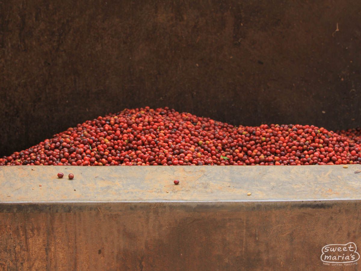 Burundi Kiganda Murambi