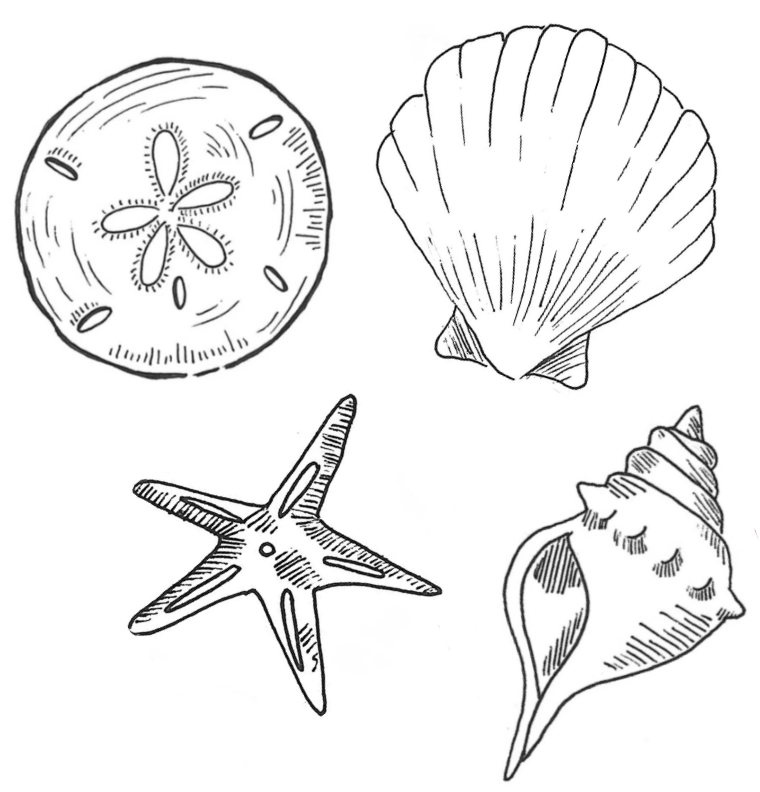 Nicaragua Maracaturra Los Medios