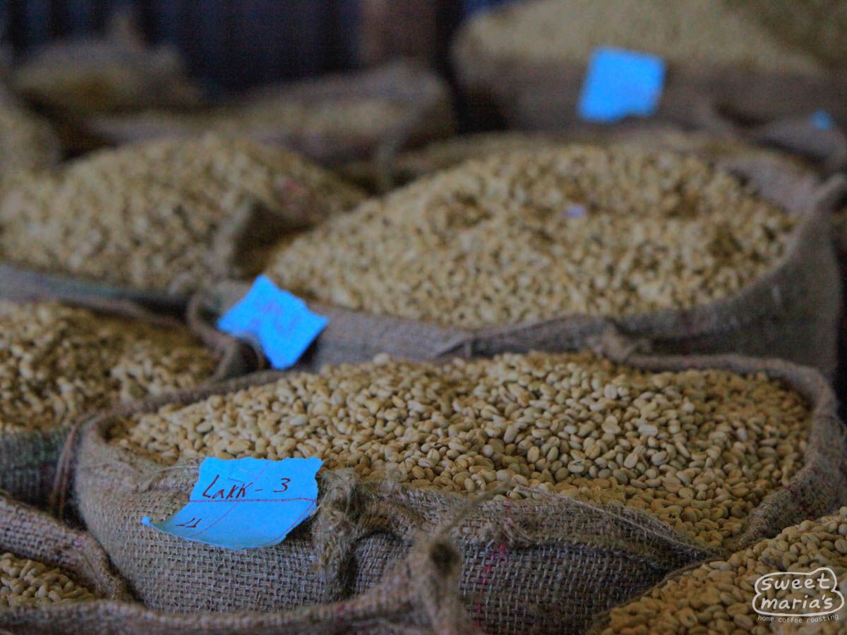 Ethiopia Gera - Organic Sample