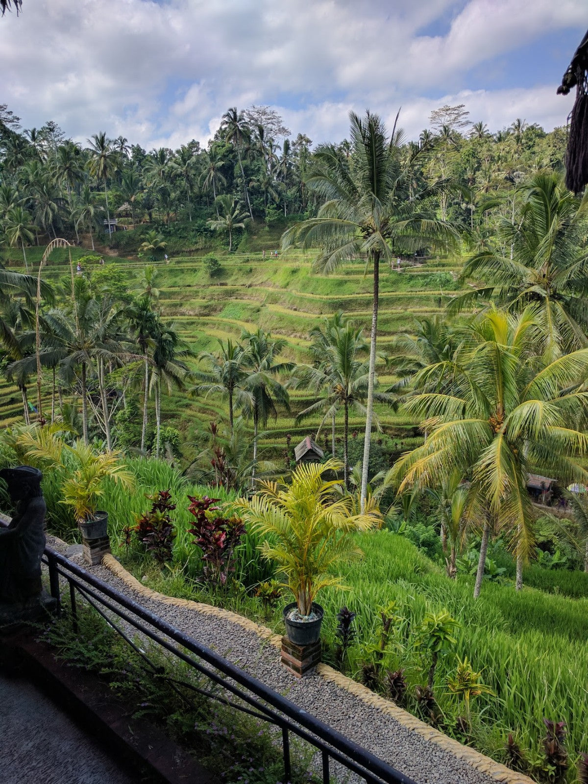 Indonesian - Organic